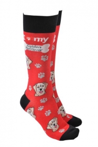 Sock Society - Golden Retriever Red